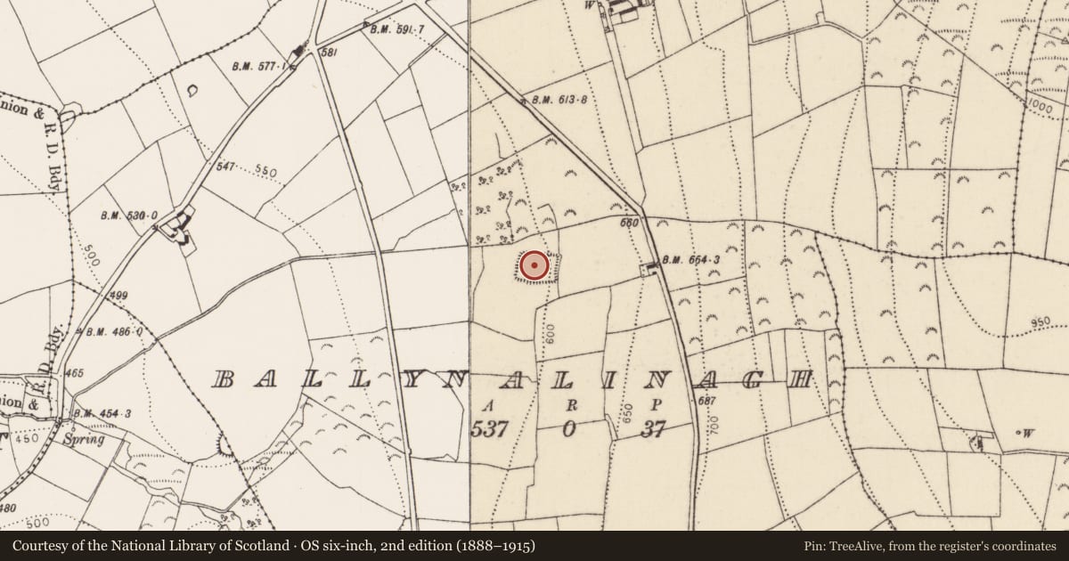 Ordnance Survey six-inch map, 2nd edition (1888–1915) covering the location of Moated site, Ballynalinagh, County Kilkenny, with a pin at the register's coordinates