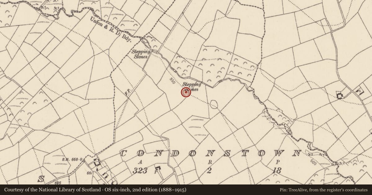 Ordnance Survey six-inch map, 2nd edition (1888–1915) covering the location of Ringfort - rath, Condonstown, County Kilkenny, with a pin at the register's coordinates