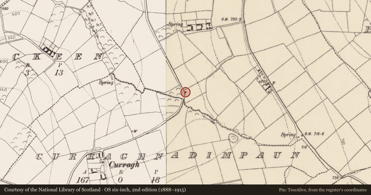 Ordnance Survey six-inch map, 2nd edition (1888–1915) covering the location of Enclosure, Ballynalinagh, County Kilkenny, with a pin at the register's coordinates