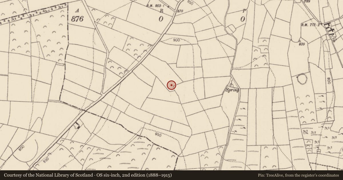 Ordnance Survey six-inch map, 2nd edition (1888–1915) covering the location of Ringfort - rath, Boolyglass, County Kilkenny, with a pin at the register's coordinates