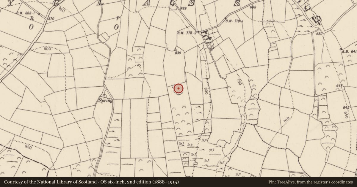 Ordnance Survey six-inch map, 2nd edition (1888–1915) covering the location of Ringfort - rath, Boolyglass, County Kilkenny, with a pin at the register's coordinates