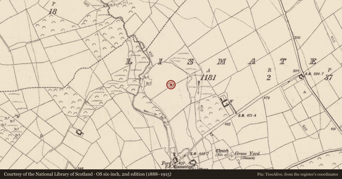 Ordnance Survey six-inch map, 2nd edition (1888–1915) covering the location of Ringfort - rath, Lismateige, County Kilkenny, with a pin at the register's coordinates