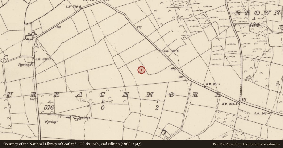 Ordnance Survey six-inch map, 2nd edition (1888–1915) covering the location of Ringfort - rath, Curraghmore, County Kilkenny, with a pin at the register's coordinates
