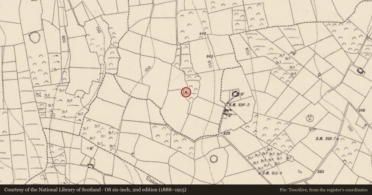 Ordnance Survey six-inch map, 2nd edition (1888–1915) covering the location of Ringfort - rath, Condonstown, County Kilkenny, with a pin at the register's coordinates
