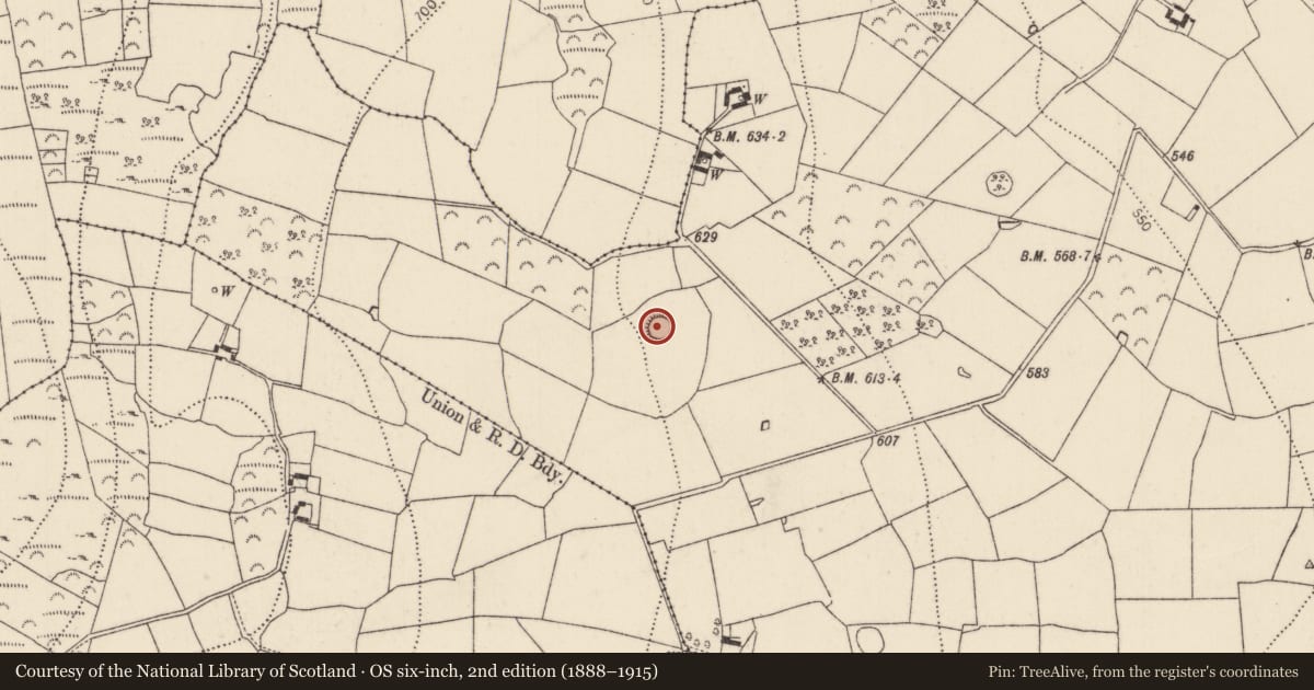 Ordnance Survey six-inch map, 2nd edition (1888–1915) covering the location of Ringfort - rath, Lismateige, County Kilkenny, with a pin at the register's coordinates