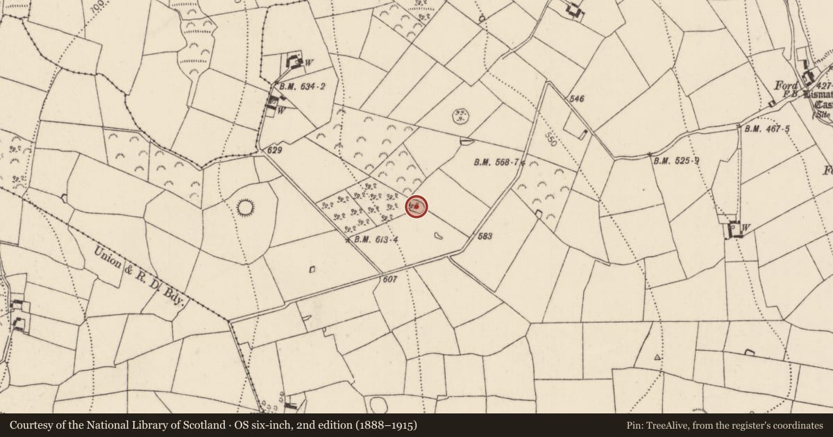 Ordnance Survey six-inch map, 2nd edition (1888–1915) covering the location of Ringfort - rath, Lismateige, County Kilkenny, with a pin at the register's coordinates