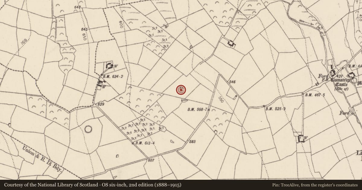 Ordnance Survey six-inch map, 2nd edition (1888–1915) covering the location of Ringfort - rath, Lismateige, County Kilkenny, with a pin at the register's coordinates