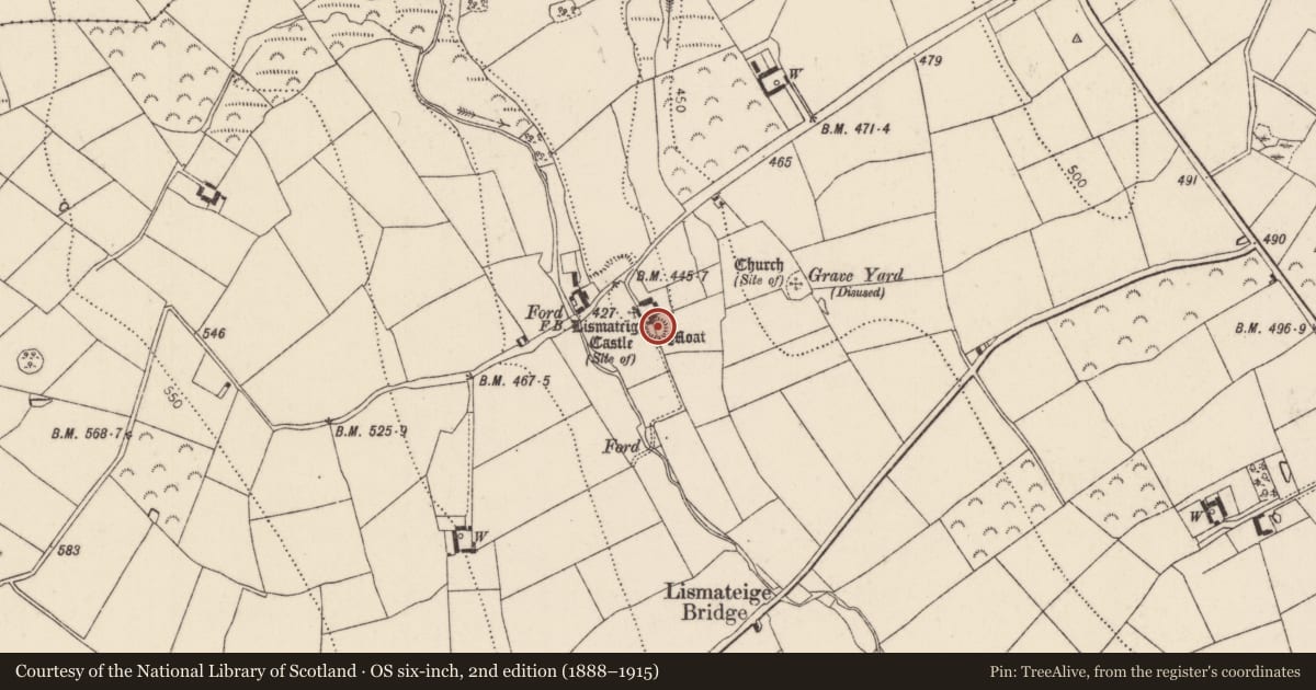 Ordnance Survey six-inch map, 2nd edition (1888–1915) covering the location of Castle - motte, Lismateige, County Kilkenny, with a pin at the register's coordinates