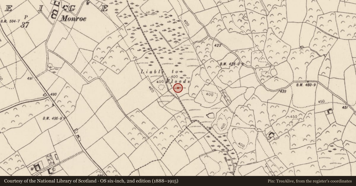Ordnance Survey six-inch map, 2nd edition (1888–1915) covering the location of Fulacht fia, Knockmoylan, County Kilkenny, with a pin at the register's coordinates