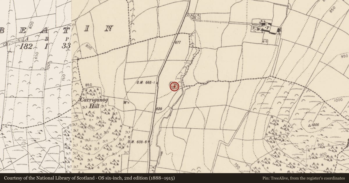 Ordnance Survey six-inch map, 2nd edition (1888–1915) covering the location of Castle - motte, Owning, County Kilkenny, with a pin at the register's coordinates