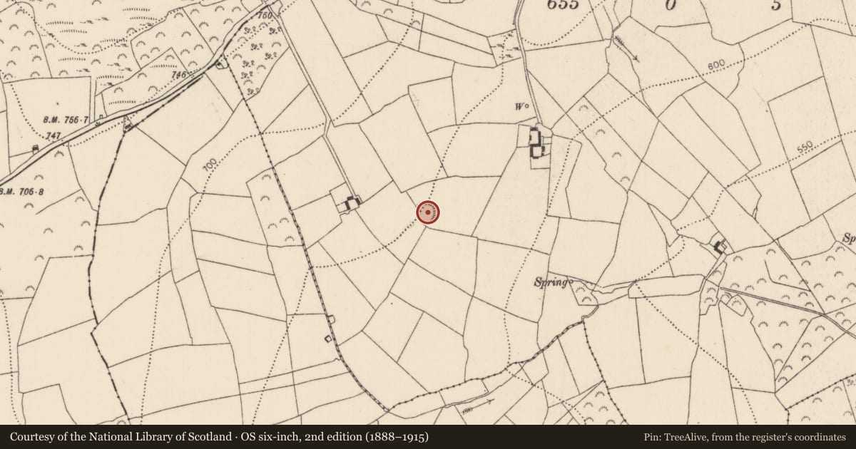 Ordnance Survey six-inch map, 2nd edition (1888–1915) covering the location of Ringfort - rath, Kilmogue, County Kilkenny, with a pin at the register's coordinates