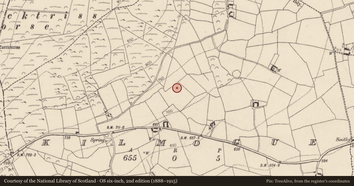 Ordnance Survey six-inch map, 2nd edition (1888–1915) covering the location of Standing stone, Kilmogue, County Kilkenny, with a pin at the register's coordinates