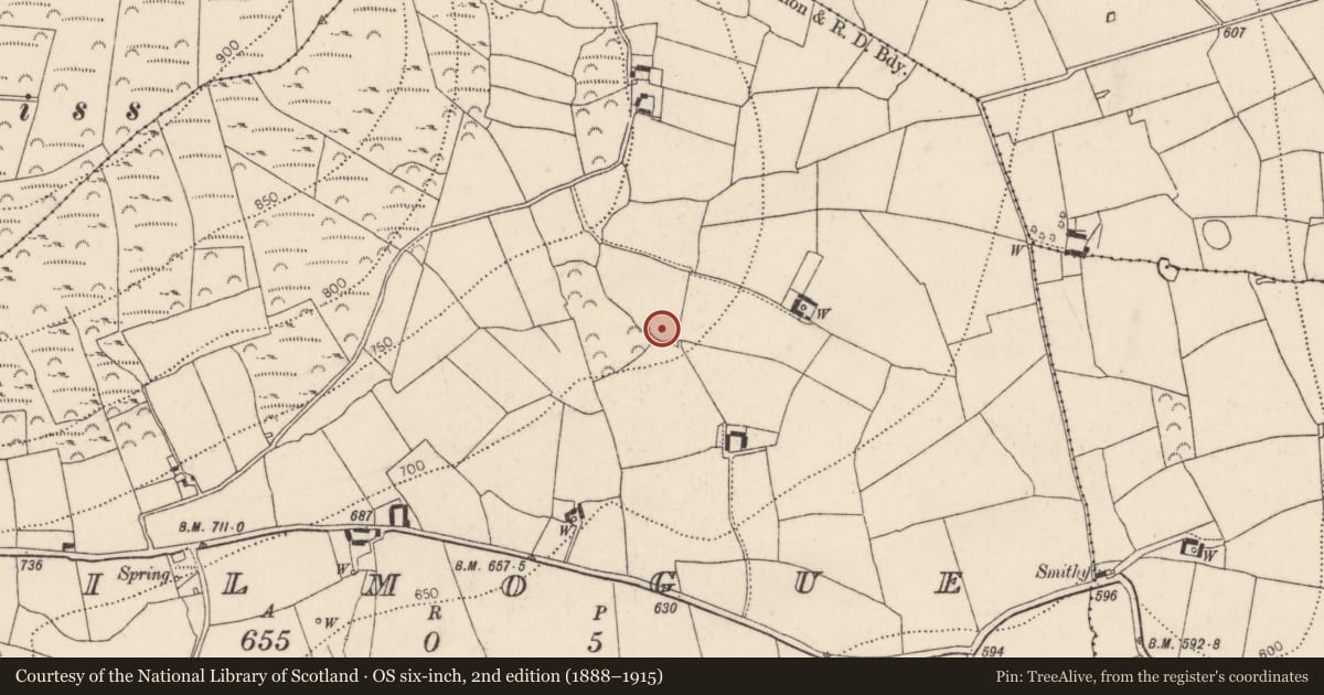 Ordnance Survey six-inch map, 2nd edition (1888–1915) covering the location of Ringfort - rath, Kilmogue, County Kilkenny, with a pin at the register's coordinates