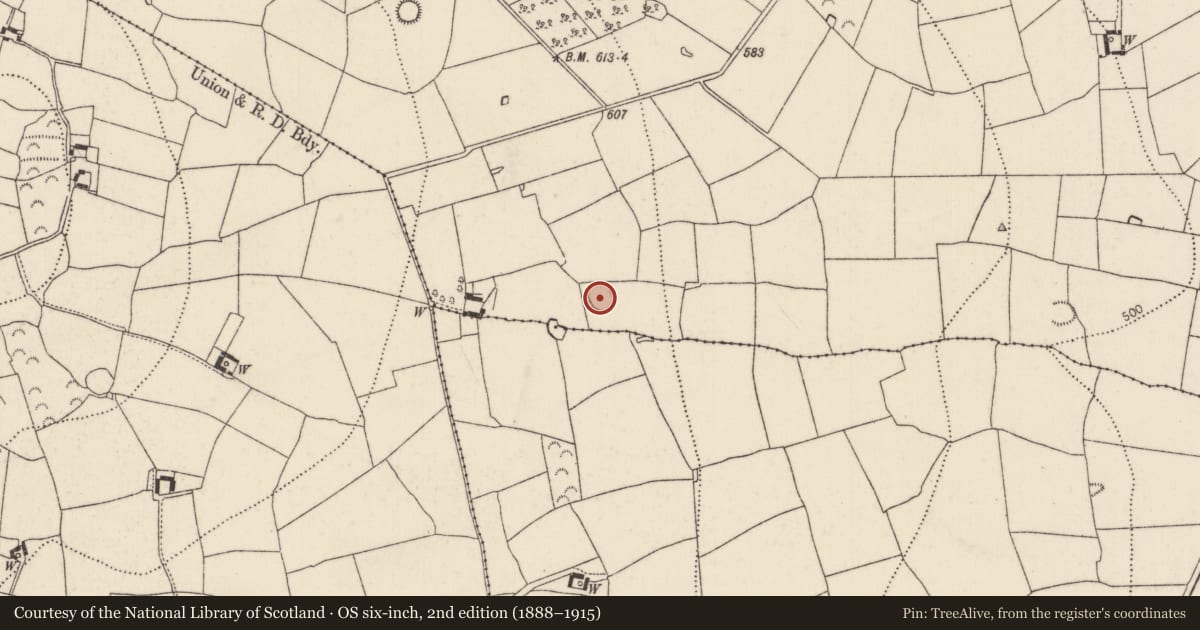 Ordnance Survey six-inch map, 2nd edition (1888–1915) covering the location of Ringfort - rath, Lismateige, County Kilkenny, with a pin at the register's coordinates