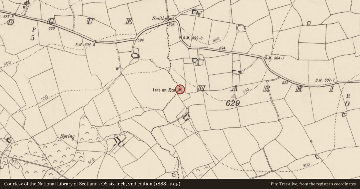 Ordnance Survey six-inch map, 2nd edition (1888–1915) covering the location of Megalithic tomb - portal tomb, Harristown, Kilmogue, County Kilkenny, with a pin at the register's coordinates
