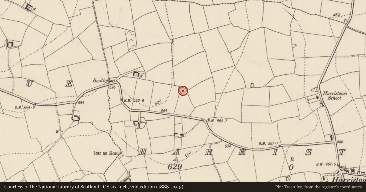 Ordnance Survey six-inch map, 2nd edition (1888–1915) covering the location of Ringfort - rath, Harristown, County Kilkenny, with a pin at the register's coordinates