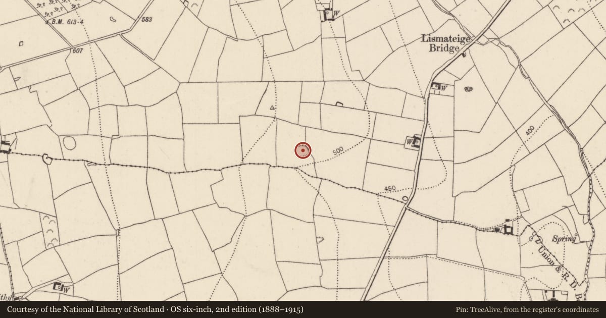 Ordnance Survey six-inch map, 2nd edition (1888–1915) covering the location of Ringfort - rath, Lismateige, County Kilkenny, with a pin at the register's coordinates