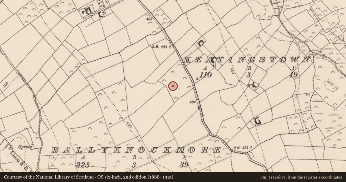 Ordnance Survey six-inch map, 2nd edition (1888–1915) covering the location of Fulacht fia, Ballyknockmore, County Kilkenny, with a pin at the register's coordinates
