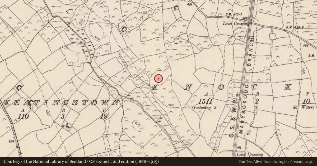 Ordnance Survey six-inch map, 2nd edition (1888–1915) covering the location of Enclosure, Knockmoylan, County Kilkenny, with a pin at the register's coordinates