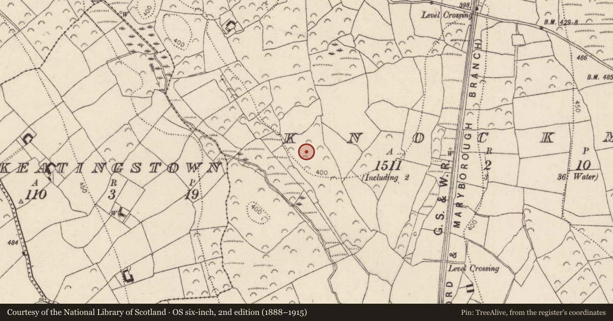 Ordnance Survey six-inch map, 2nd edition (1888–1915) covering the location of Excavation - miscellaneous, Knockmoylan, County Kilkenny, with a pin at the register's coordinates