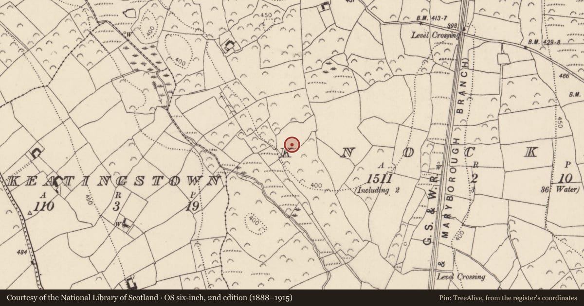 Ordnance Survey six-inch map, 2nd edition (1888–1915) covering the location of Excavation - miscellaneous, Knockmoylan, County Kilkenny, with a pin at the register's coordinates