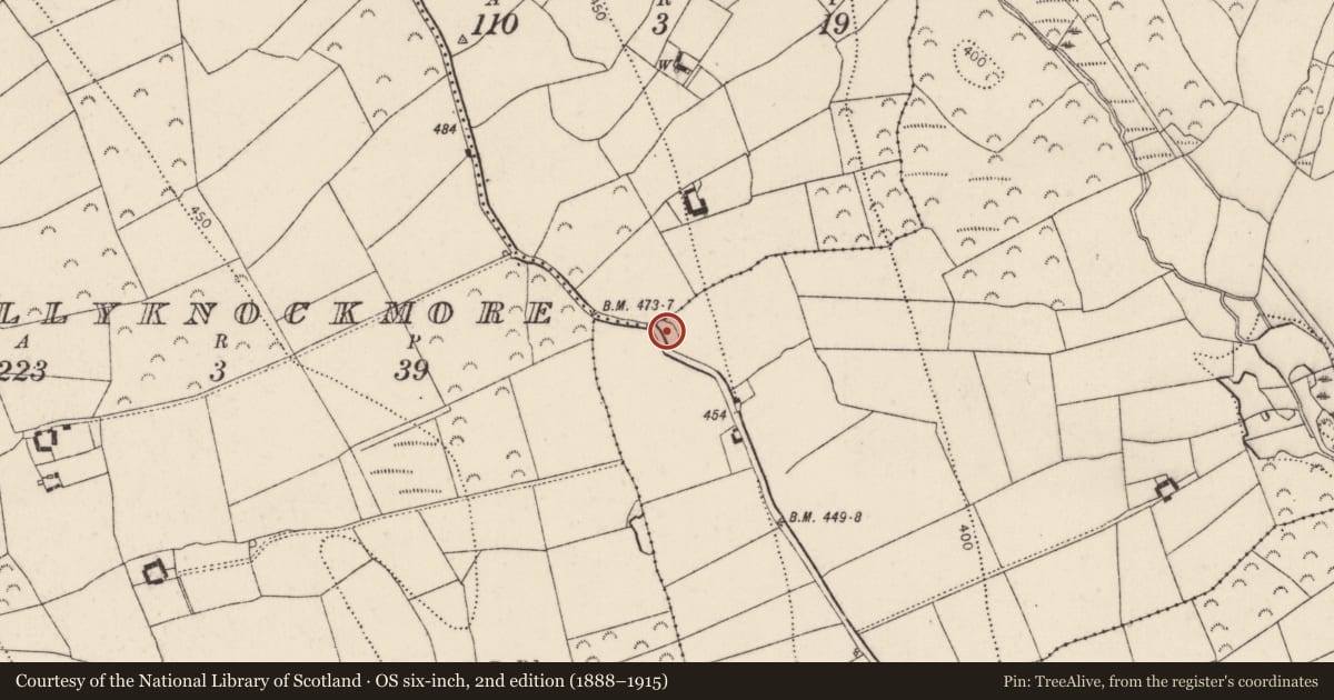 Ordnance Survey six-inch map, 2nd edition (1888–1915) covering the location of Ringfort - unclassified, Knockmoylan, County Kilkenny, with a pin at the register's coordinates