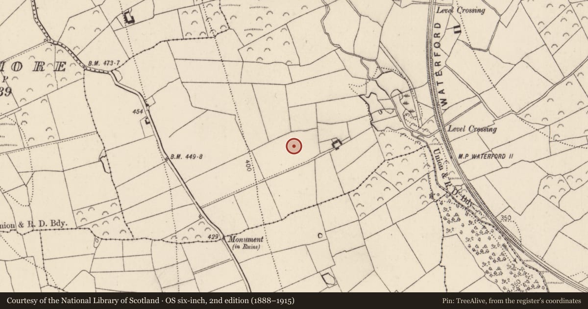 Ordnance Survey six-inch map, 2nd edition (1888–1915) covering the location of Ringfort - rath, Knockmoylan, County Kilkenny, with a pin at the register's coordinates