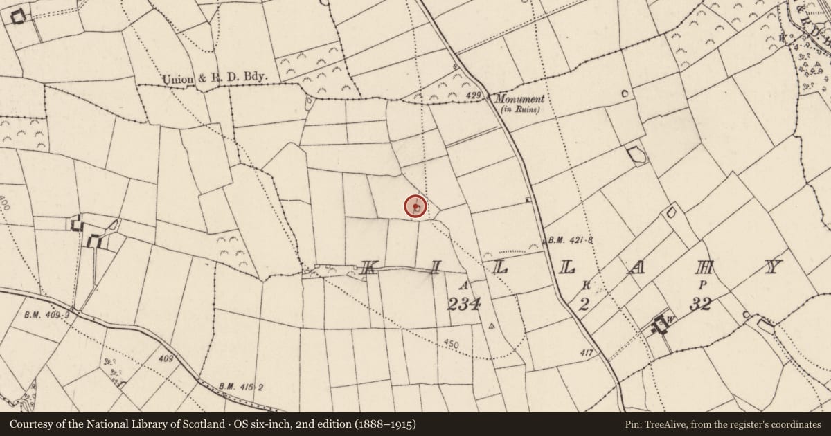Ordnance Survey six-inch map, 2nd edition (1888–1915) covering the location of Ringfort - unclassified, Killahy, County Kilkenny, with a pin at the register's coordinates