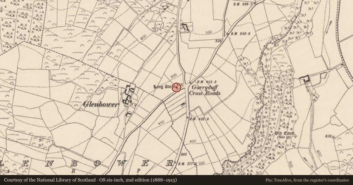 Ordnance Survey six-inch map, 2nd edition (1888–1915) covering the location of Standing stone, Garryduff, County Kilkenny, with a pin at the register's coordinates