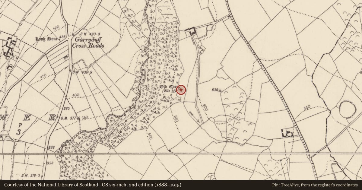 Ordnance Survey six-inch map, 2nd edition (1888–1915) covering the location of Enclosure, Oldcourt, County Kilkenny, with a pin at the register's coordinates