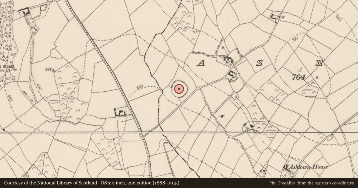 Ordnance Survey six-inch map, 2nd edition (1888–1915) covering the location of Ringfort - rath, Ashtown, County Kilkenny, with a pin at the register's coordinates