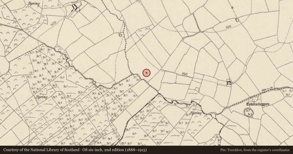 Ordnance Survey six-inch map, 2nd edition (1888–1915) covering the location of Ringfort - unclassified, Harristown, County Kilkenny, with a pin at the register's coordinates