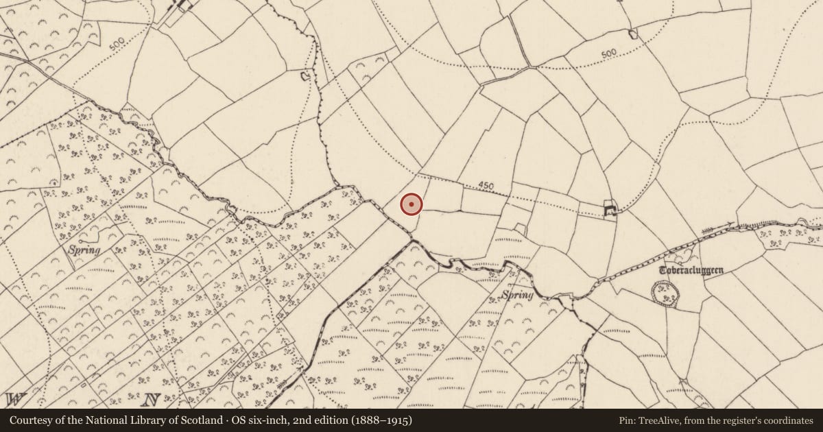 Ordnance Survey six-inch map, 2nd edition (1888–1915) covering the location of Ringfort - unclassified, Harristown, County Kilkenny, with a pin at the register's coordinates