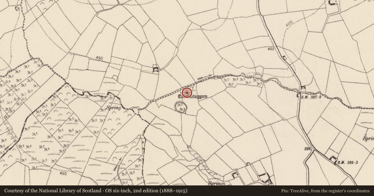 Ordnance Survey six-inch map, 2nd edition (1888–1915) covering the location of Ritual site - holy well, Milltown, County Kilkenny, with a pin at the register's coordinates