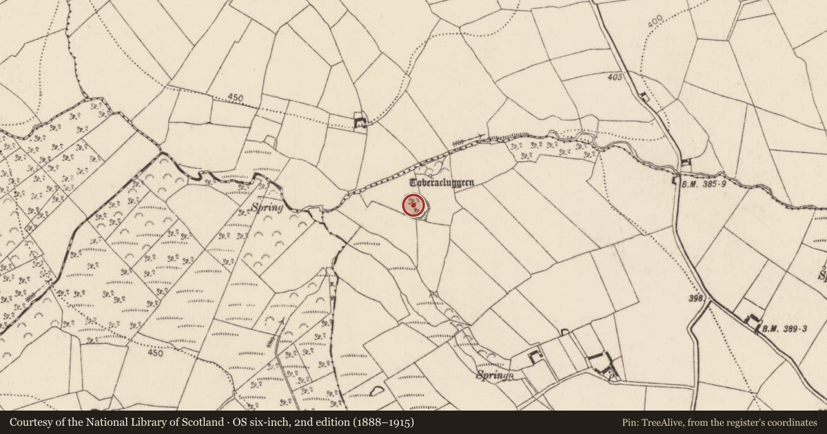 Ordnance Survey six-inch map, 2nd edition (1888–1915) covering the location of Ringfort - rath, Milltown, County Kilkenny, with a pin at the register's coordinates