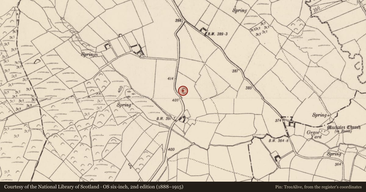 Ordnance Survey six-inch map, 2nd edition (1888–1915) covering the location of Castle - motte, Milltown, County Kilkenny, with a pin at the register's coordinates