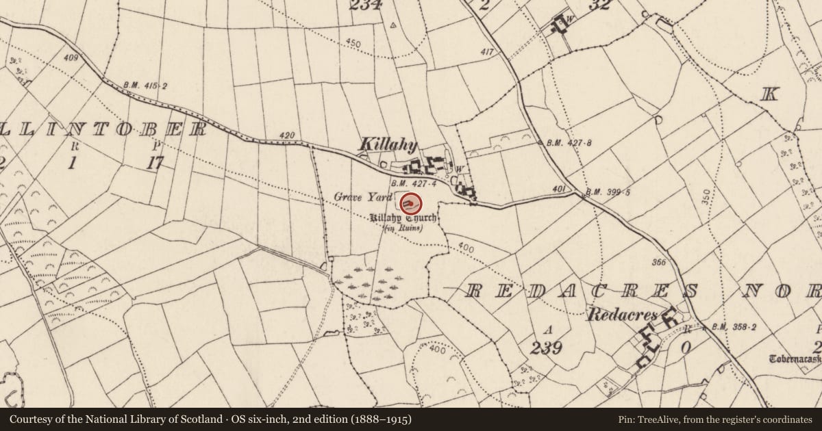 Ordnance Survey six-inch map, 2nd edition (1888–1915) covering the location of Font, Killahy, County Kilkenny, with a pin at the register's coordinates