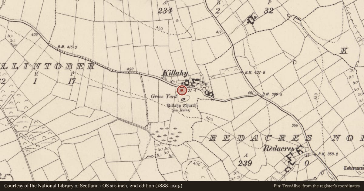 Ordnance Survey six-inch map, 2nd edition (1888–1915) covering the location of Building, Killahy, County Kilkenny, with a pin at the register's coordinates