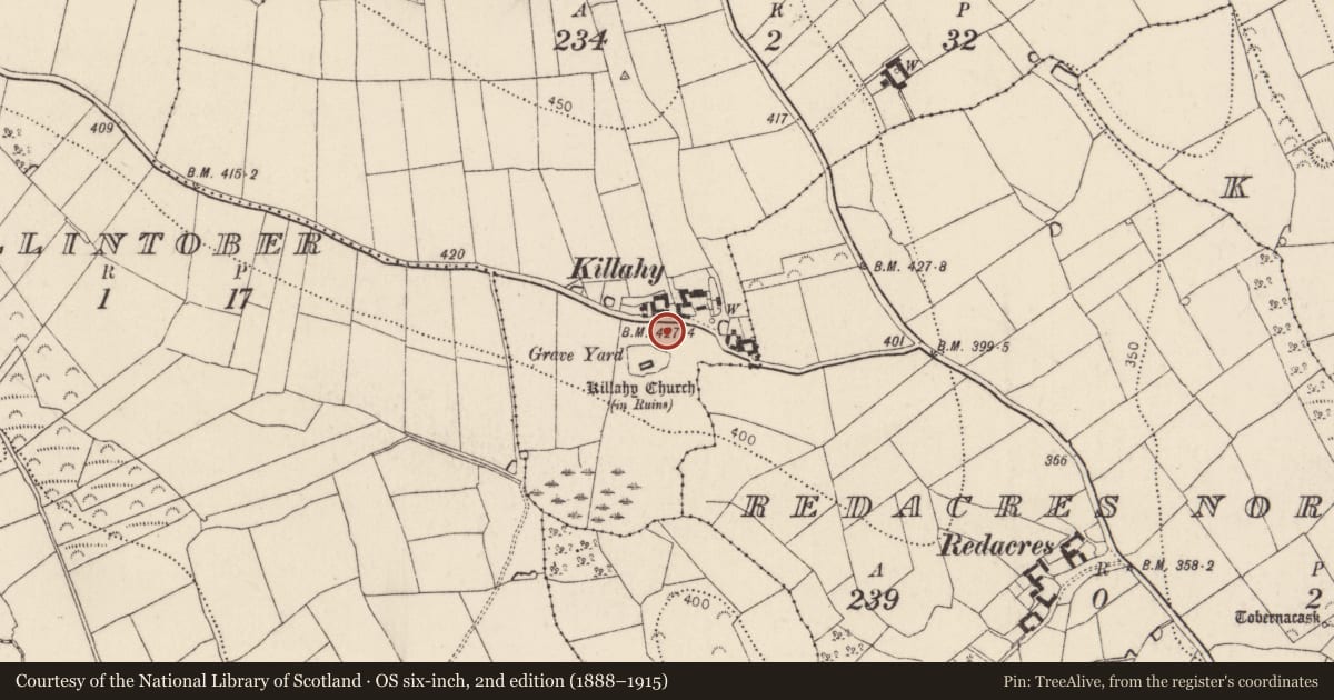 Ordnance Survey six-inch map, 2nd edition (1888–1915) covering the location of Earthwork, Killahy, County Kilkenny, with a pin at the register's coordinates