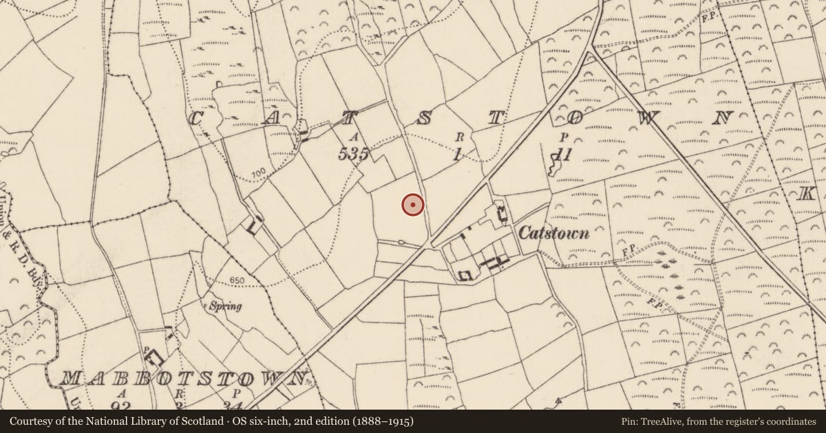 Ordnance Survey six-inch map, 2nd edition (1888–1915) covering the location of Fulacht fia, Catstown, County Kilkenny, with a pin at the register's coordinates