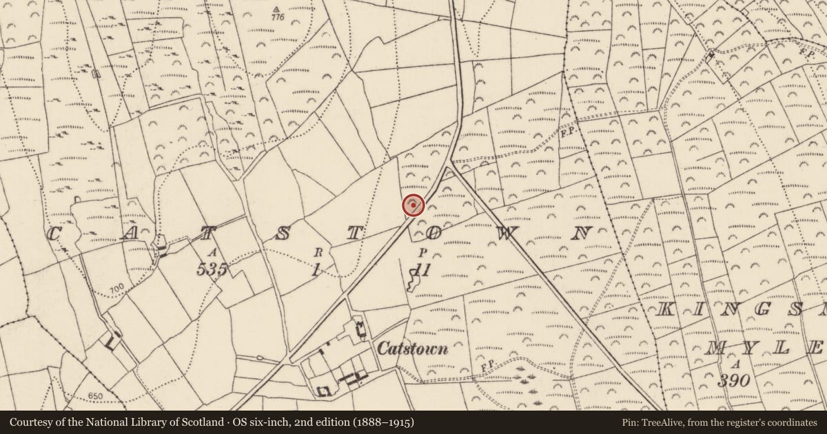 Ordnance Survey six-inch map, 2nd edition (1888–1915) covering the location of Fulacht fia, Catstown, County Kilkenny, with a pin at the register's coordinates