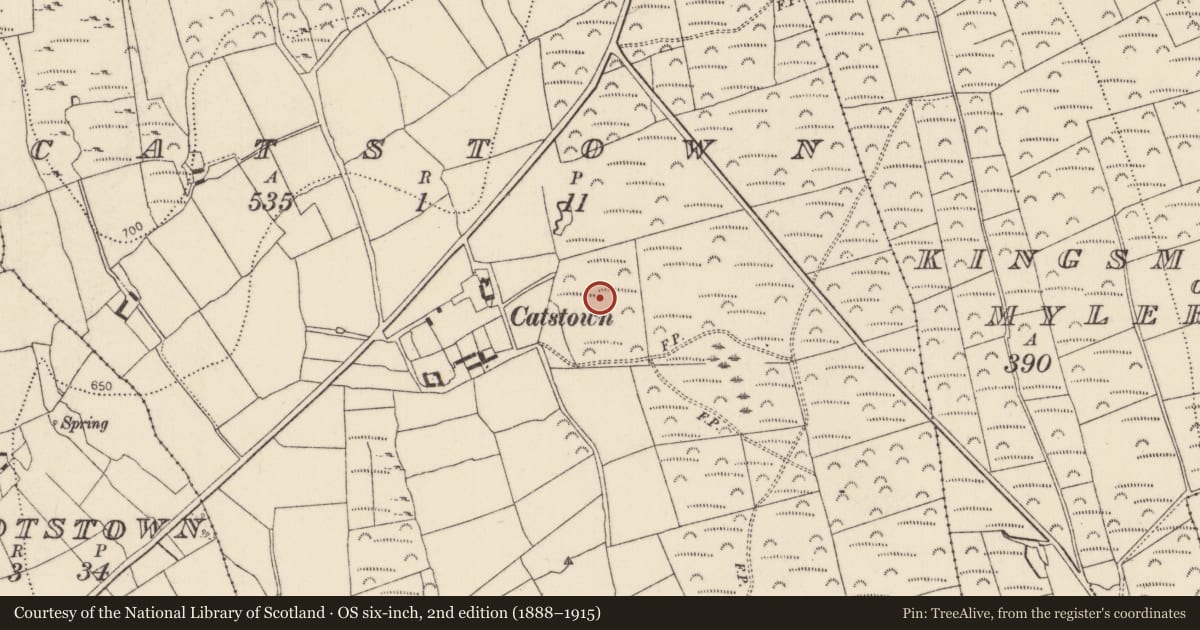 Ordnance Survey six-inch map, 2nd edition (1888–1915) covering the location of Fulacht fia, Catstown, County Kilkenny, with a pin at the register's coordinates