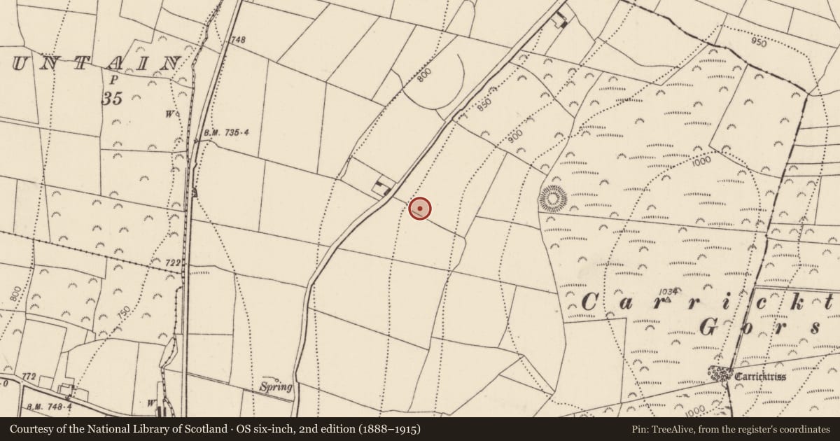 Ordnance Survey six-inch map, 2nd edition (1888–1915) covering the location of Standing stone, Mullenbeg, County Kilkenny, with a pin at the register's coordinates