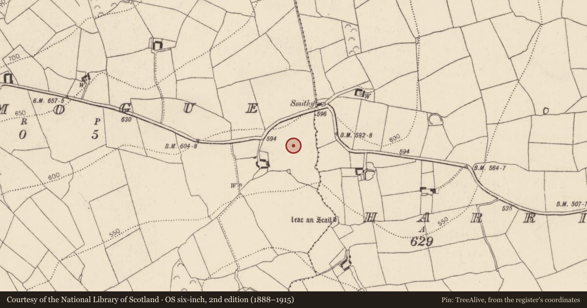 Ordnance Survey six-inch map, 2nd edition (1888–1915) covering the location of Ritual site - holy well, Kilmogue, County Kilkenny, with a pin at the register's coordinates