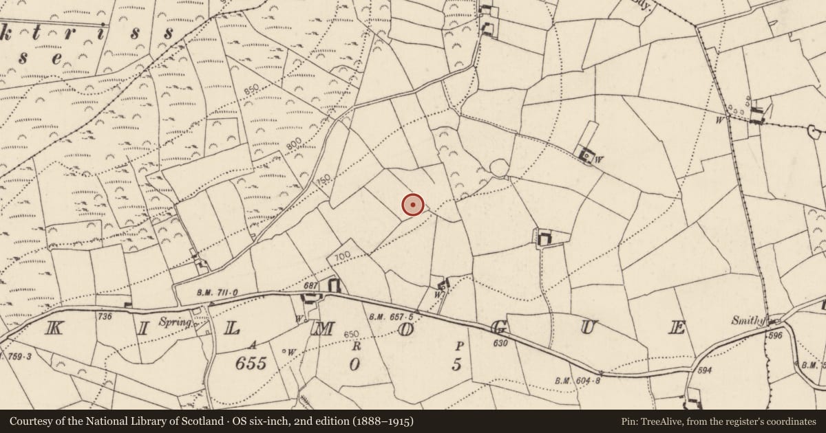 Ordnance Survey six-inch map, 2nd edition (1888–1915) covering the location of Megalithic tomb - unclassified, Kilmogue, County Kilkenny, with a pin at the register's coordinates