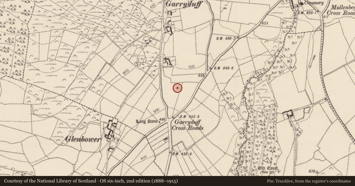 Ordnance Survey six-inch map, 2nd edition (1888–1915) covering the location of Enclosure, Garryduff, County Kilkenny, with a pin at the register's coordinates