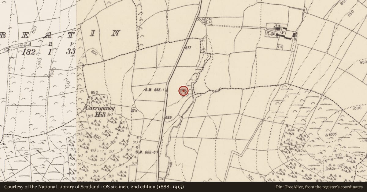 Ordnance Survey six-inch map, 2nd edition (1888–1915) covering the location of Megalithic tomb - wedge tomb, Owning, County Kilkenny, with a pin at the register's coordinates