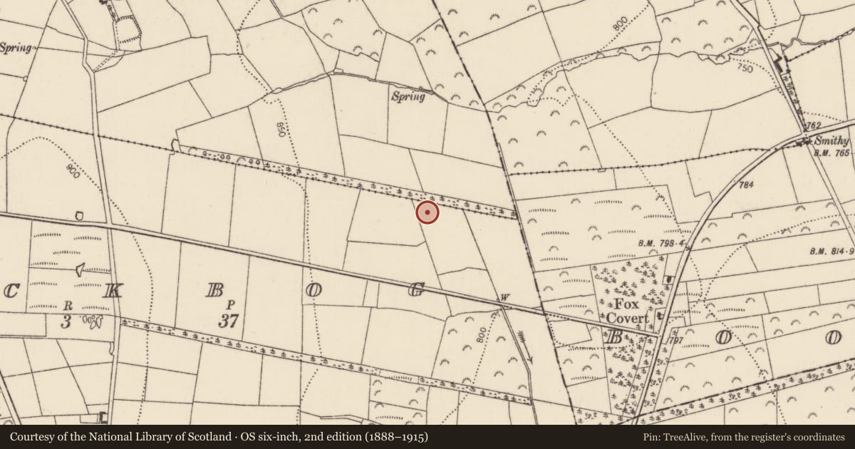 Ordnance Survey six-inch map, 2nd edition (1888–1915) covering the location of Standing stone, Blackbog, County Kilkenny, with a pin at the register's coordinates