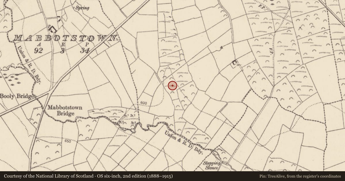 Ordnance Survey six-inch map, 2nd edition (1888–1915) covering the location of Fulacht fia, Catstown, County Kilkenny, with a pin at the register's coordinates