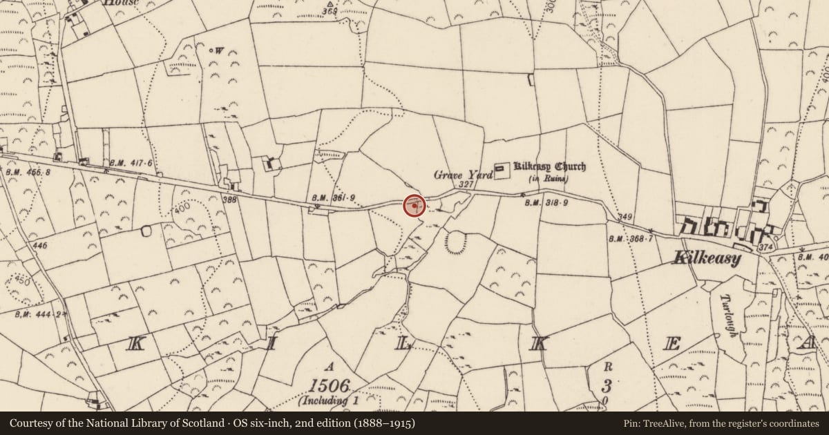 Ordnance Survey six-inch map, 2nd edition (1888–1915) covering the location of Fulacht fia, Kilkeasy, County Kilkenny, with a pin at the register's coordinates